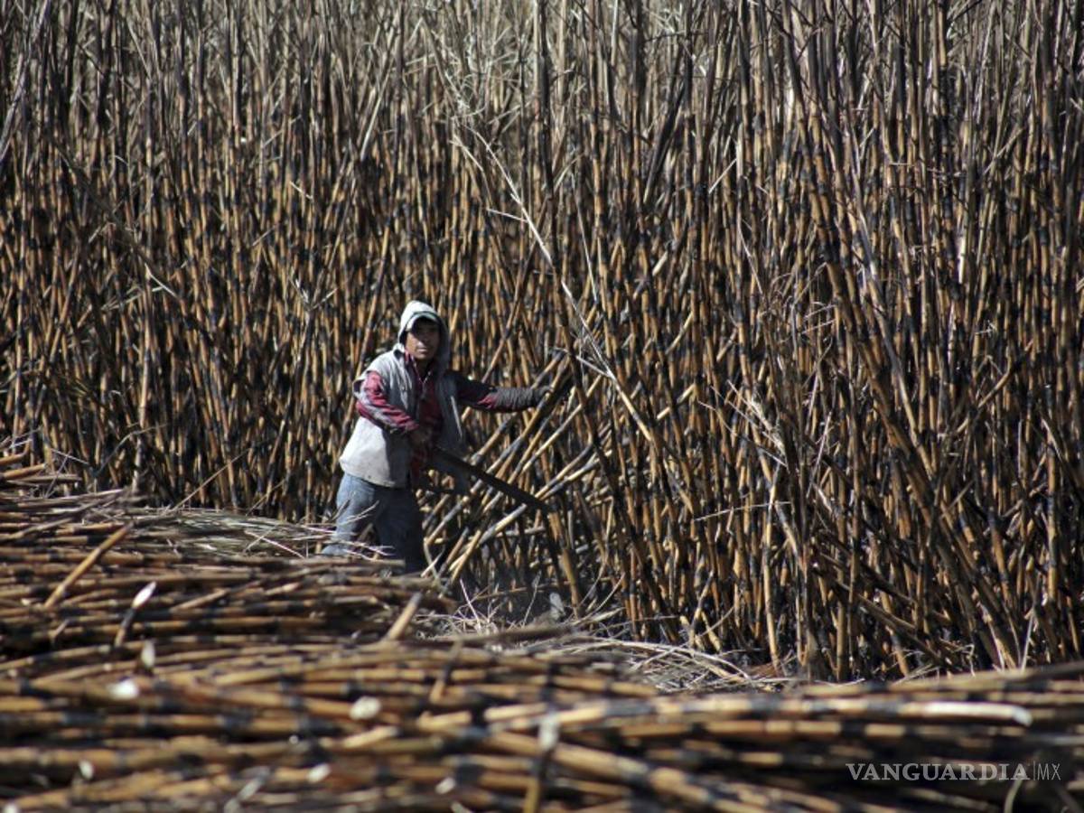 $!Tu jugo del día: Con sabor al viejo PRI, así es el 'nuevo' triunfo de 'Alito'