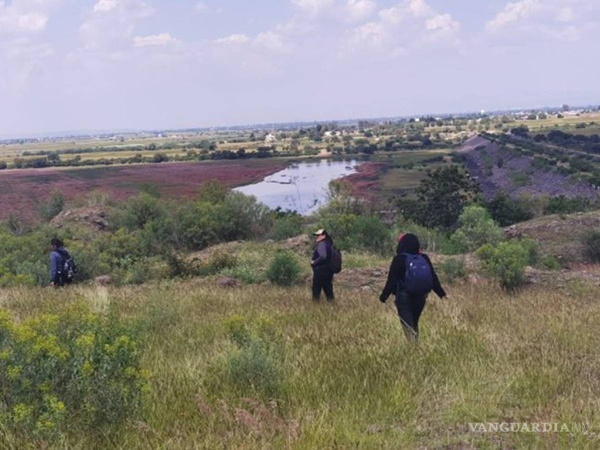 $!Localizan ocho fosas clandestinas en Irapuato; tendrían al menos 100 restos