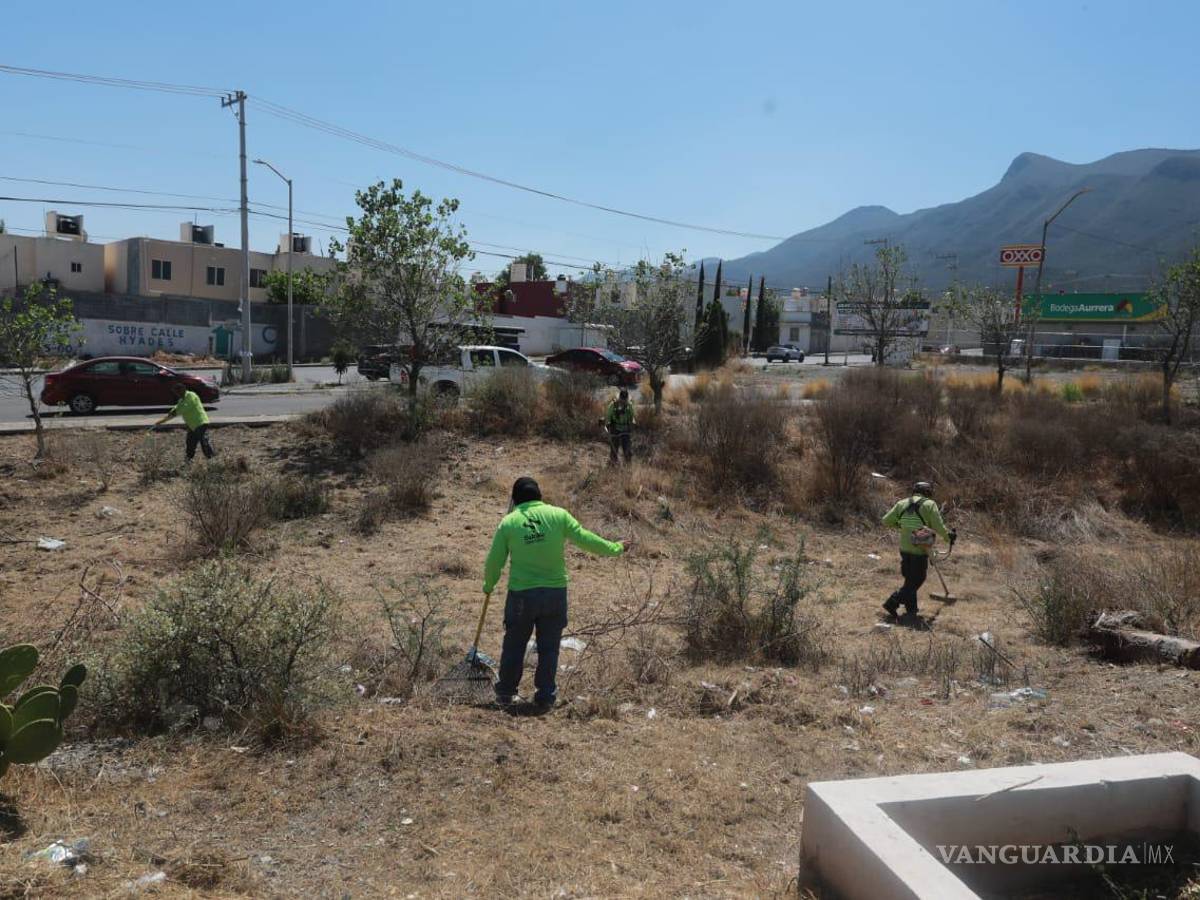 $!En el camellón central del Eje 5 del Nuevo Centro Metropolitano, se realizaron labores de deshierbe.