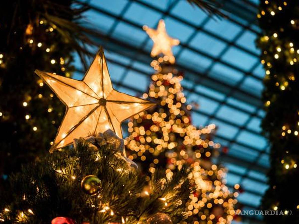 $!¿Cuánto te costará armar el arbolito de Navidad este año?