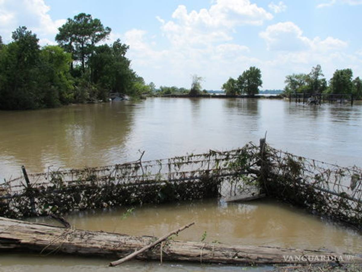 $!Texas afronta una plaga de problemas tras el paso de Harvey