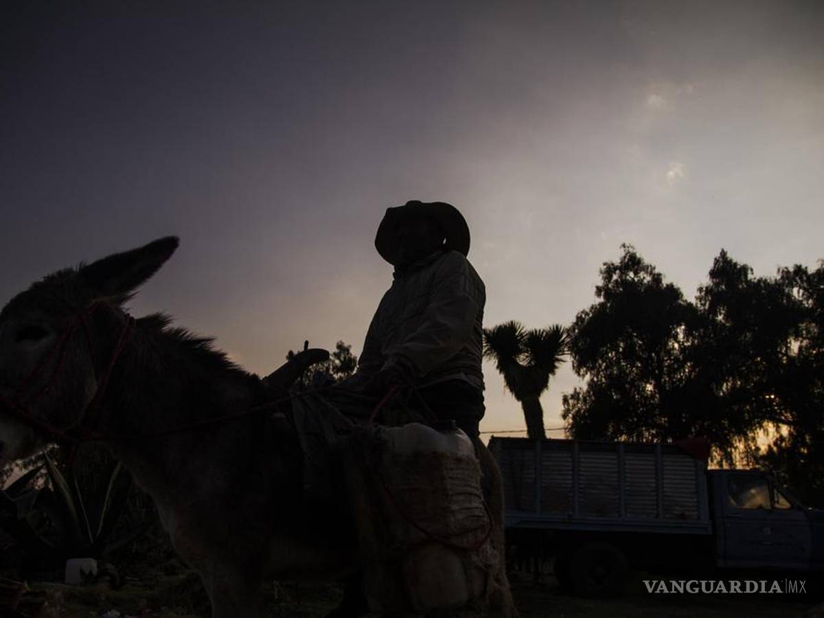 $!"Cuando empezamos no había hipsters": cómo los punks rescataron la tradición del pulque en México