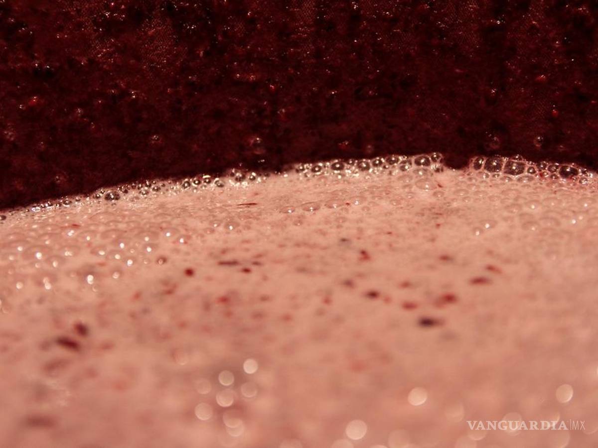 $!"Cuando empezamos no había hipsters": cómo los punks rescataron la tradición del pulque en México