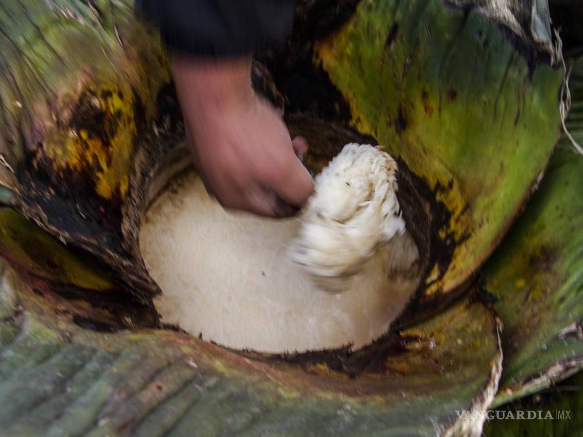 $!"Cuando empezamos no había hipsters": cómo los punks rescataron la tradición del pulque en México