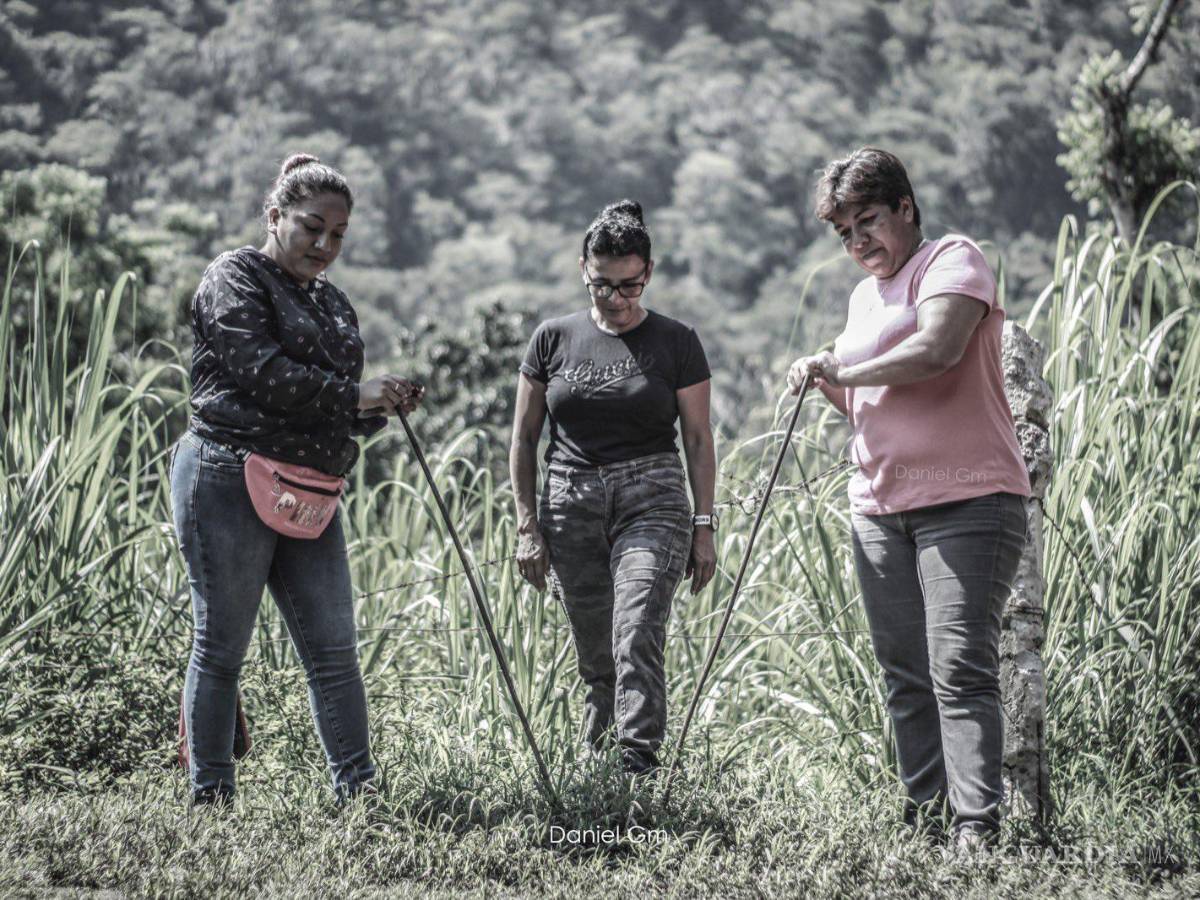 $!Es reconocida por su labor constante en las acciones de búsqueda de su hija Fernanda Rubi y de decenas de personas más