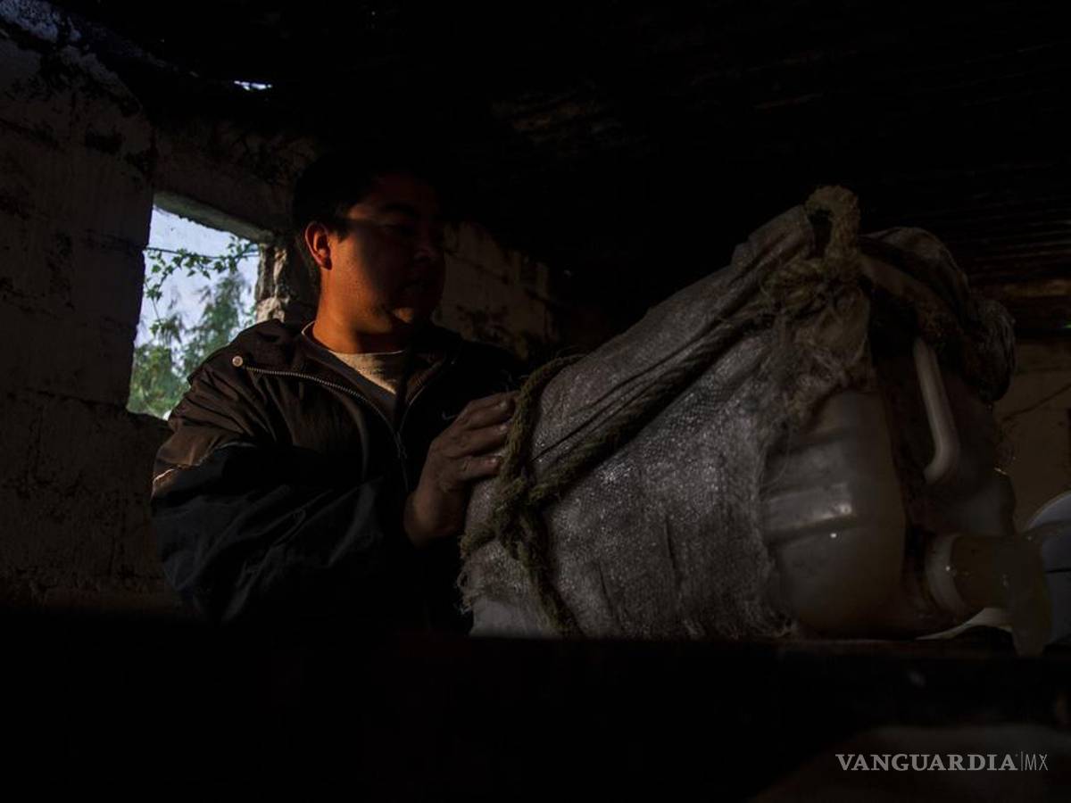 $!"Cuando empezamos no había hipsters": cómo los punks rescataron la tradición del pulque en México