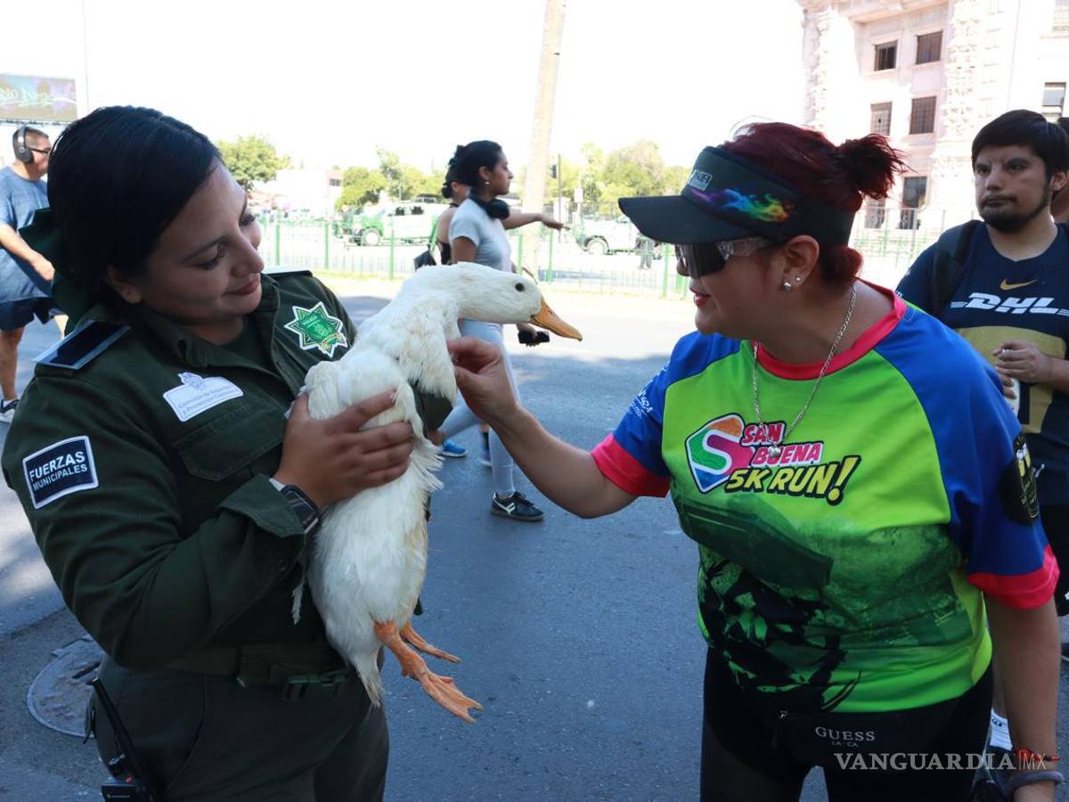 $!La Policía Ambiental montó una exhibición interactiva de animales, entre ellos un perro, un pato, una iguana y una tortuga