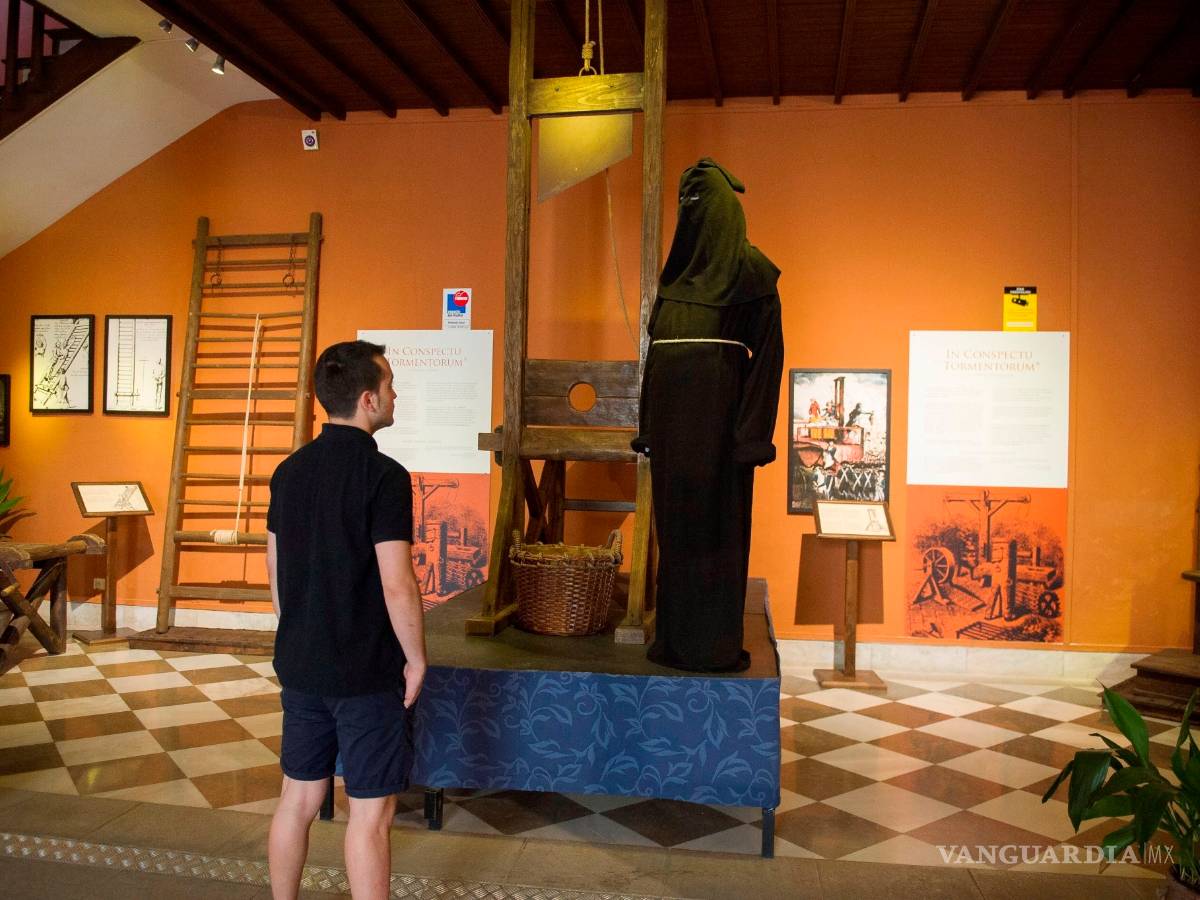 $!Un tiburón que vive 400 años y otras curiosidades que parecen un cuento, pero son verídicas