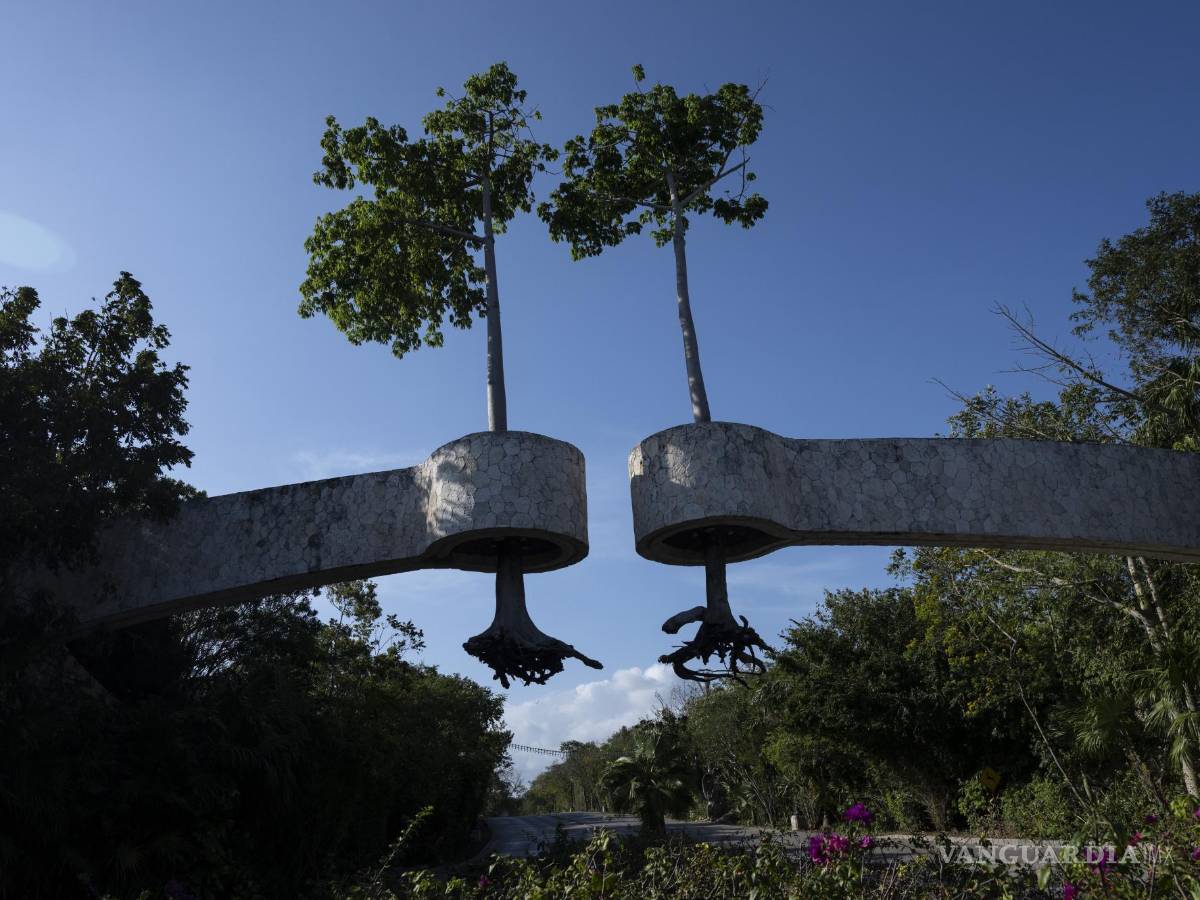 $!Árboles con las raíces al aire, suspendidos en el aire a modo de decoración en la entrada de un complejo turístico en Playa del Carmen, México.