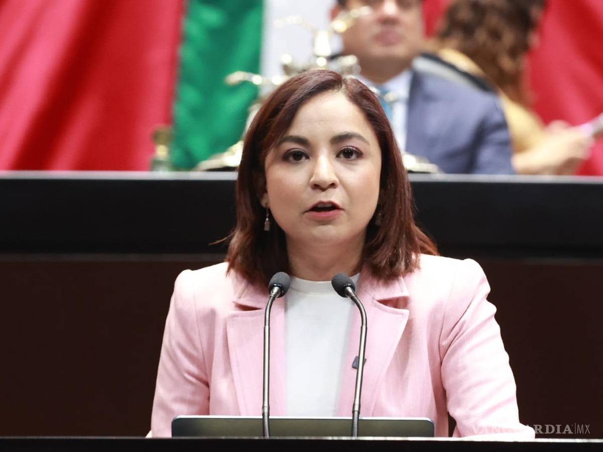 $!Diputada Irais Reyes De la Torre, del Movimiento Ciudadano, plantea reformar el artículo 4º de la Carta Magna | Foto: Especial