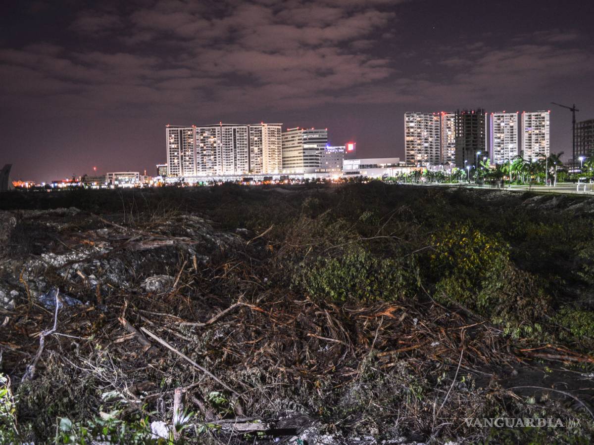 $!ONG insisten que fue ecocidio en Tajamar