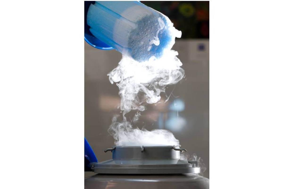 Vitrificación de óvulos, la revolución maternal