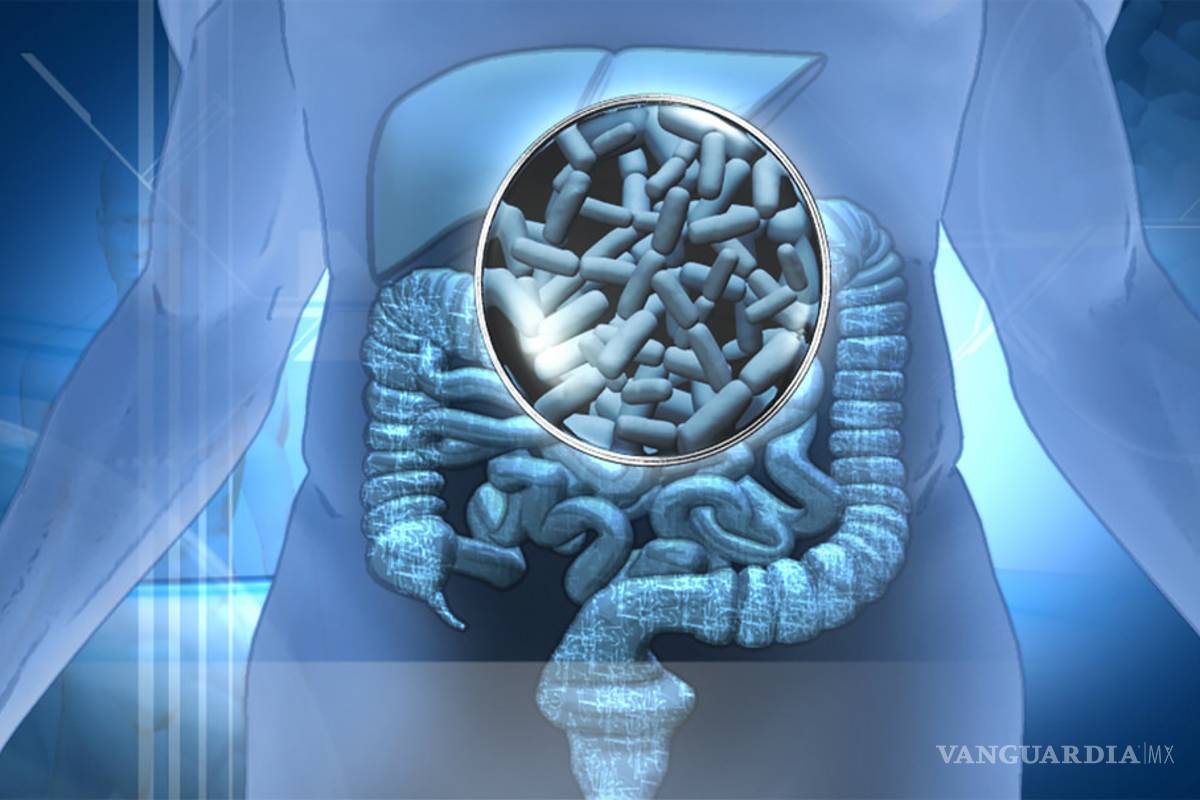 $!Crean científicos de Coahuila cerveza con probióticos que protegen de infecciones gastrointestinales