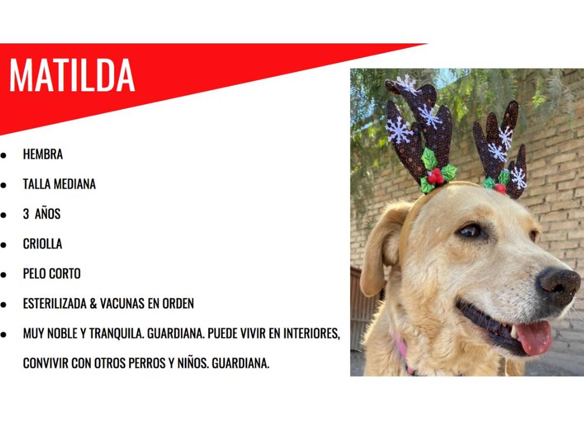 $!Melchwof, Gaspaw y Baltarawr