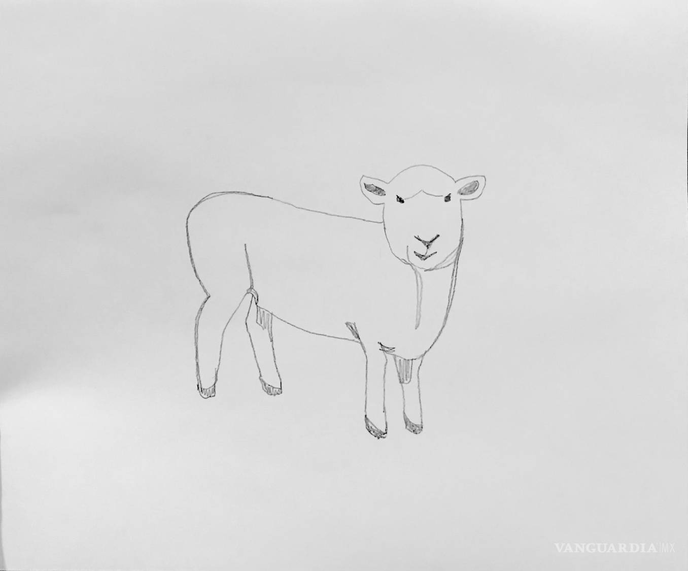 $!Amber Kappes, artista visual..