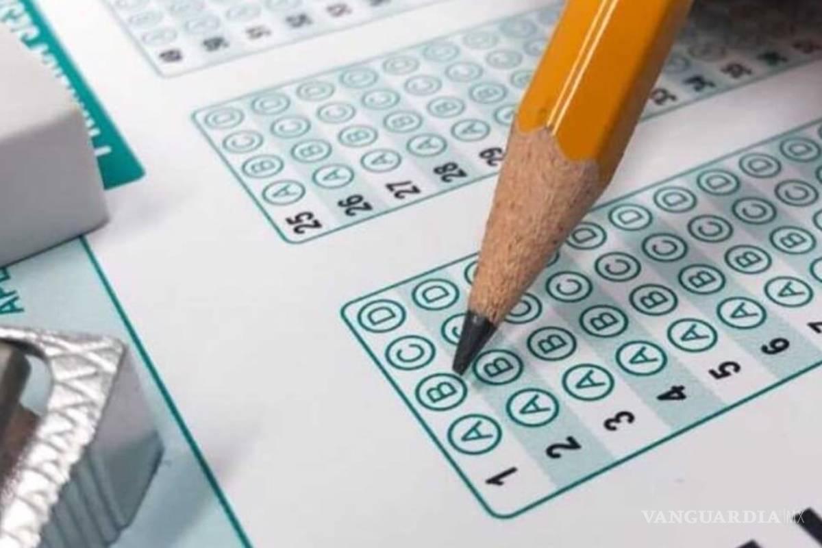 OCDE preocupada por posible suspensión de la prueba PISA en México