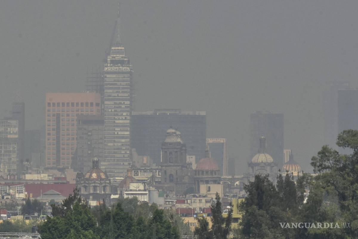 La contaminación: un promotor del cáncer