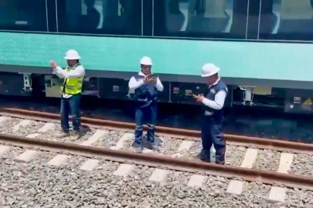 Fallas graves en la infraestructura del Tren Maya y desvío millonario habrían sido denunciadas desde febrero por la ASF