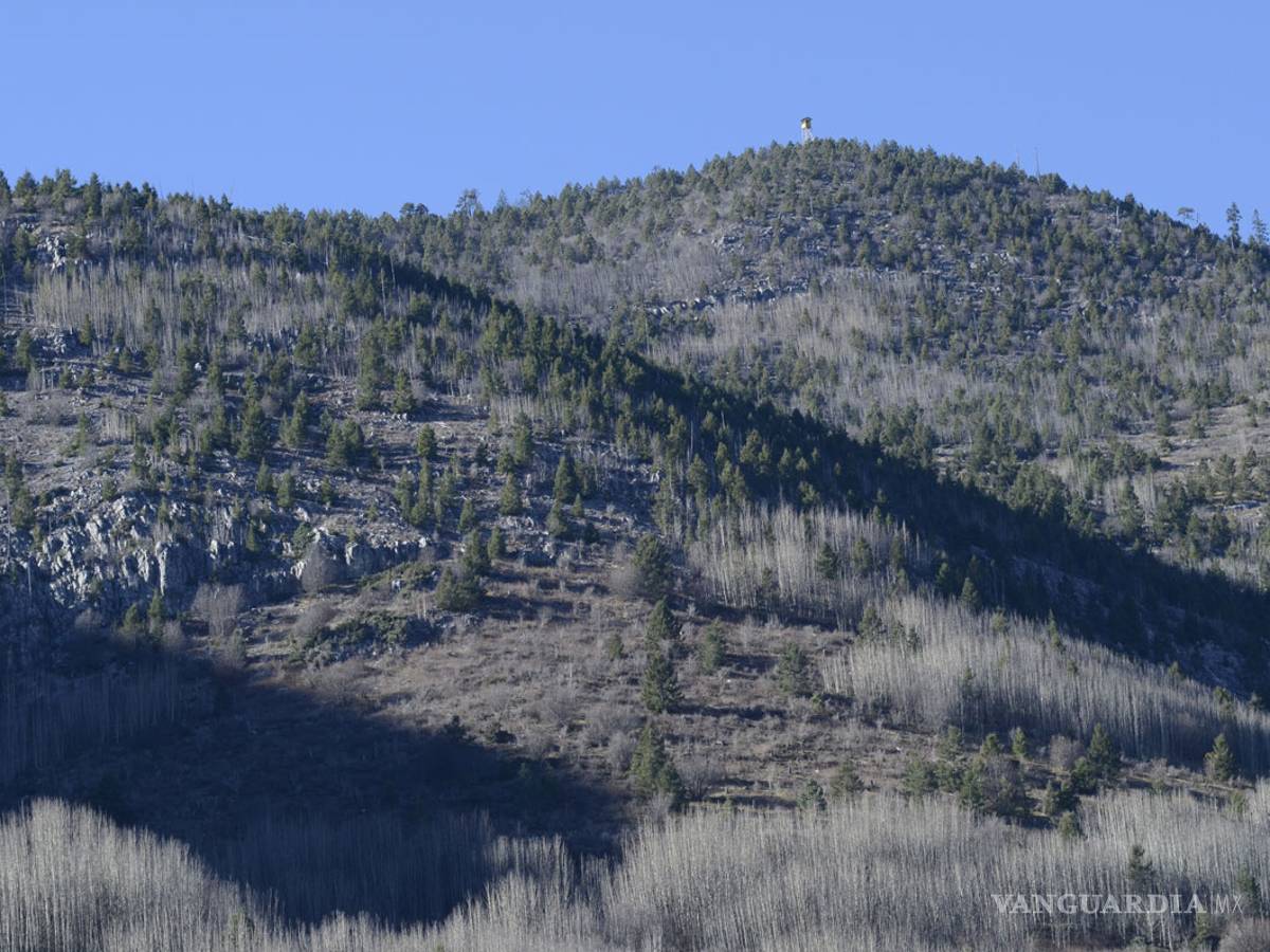 $!Nieve brilla por su ausencia en Arteaga