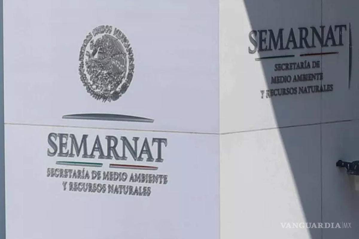 Recorte en Semarnat es ‘alarmante’, señala ONG