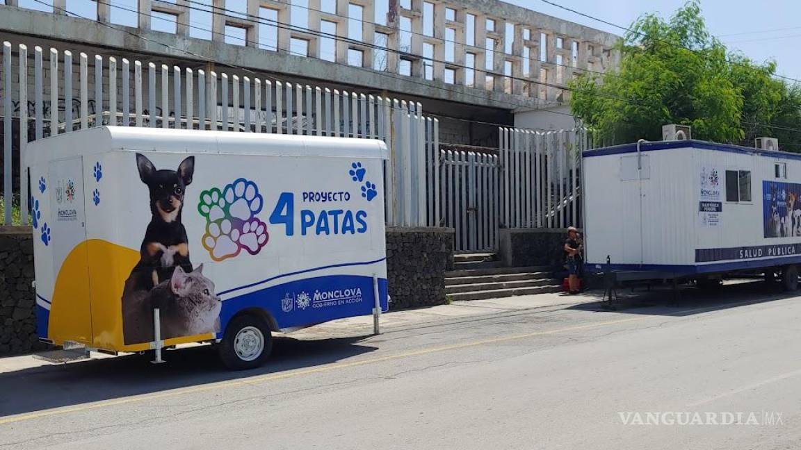 Inician esterilizaciones con módulo itinerante; hay 25 mil perros callejeros en Monclova