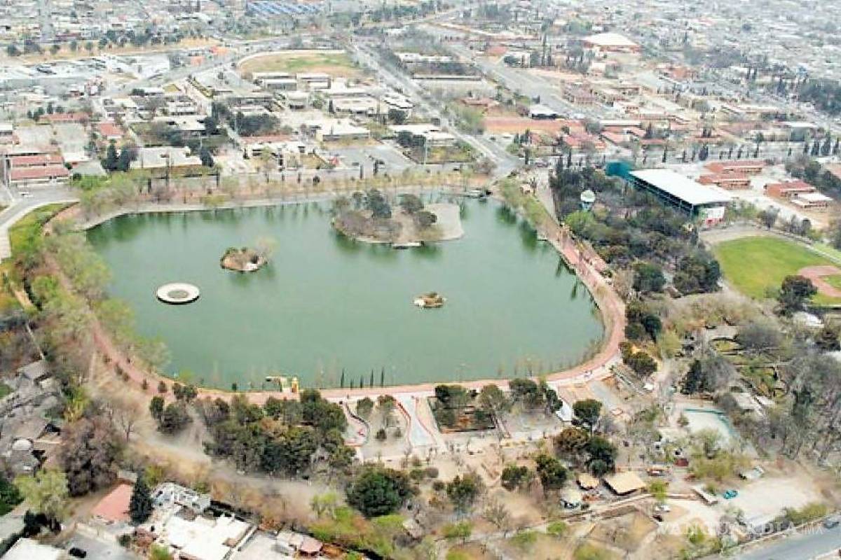 Ciudad Deportiva 'Francisco I. Madero' será cerrada por un enjambre de abejas