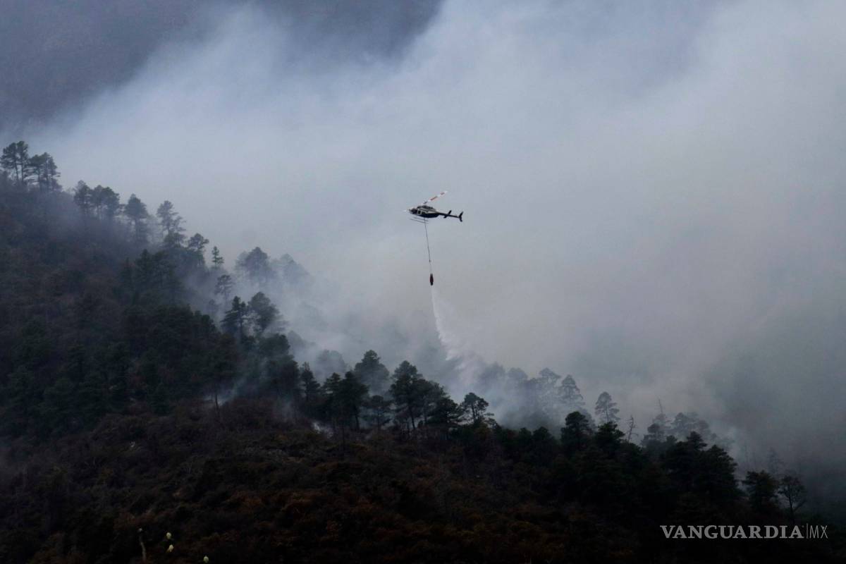 Gobierno Federal publica declaratoria de emergencia por incendio forestal en Arteaga