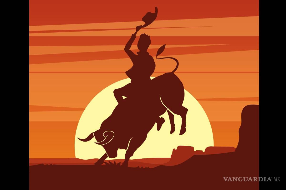 Vanidad, por tu culpa he perdido...