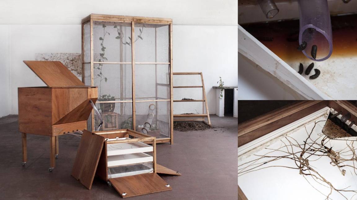 $!Obras de Virginia Buitrón.