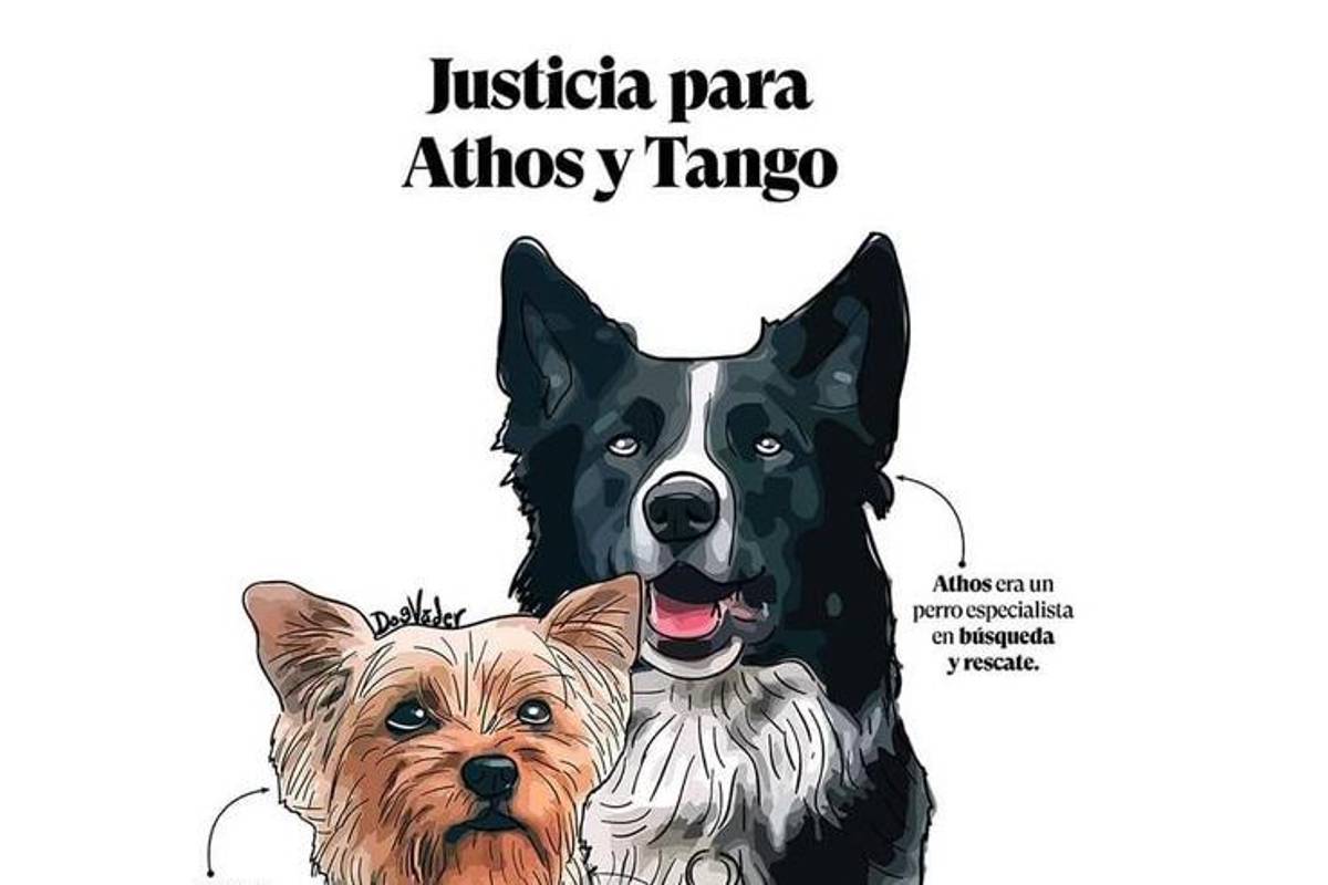 Arranca juicio por asesinato de los perros rescatistas Athos y Tango