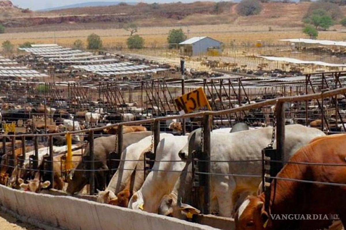 La parálisis presupuestaria de EU aplazaría aún más la reapertura de la frontera a la exportación ganadera