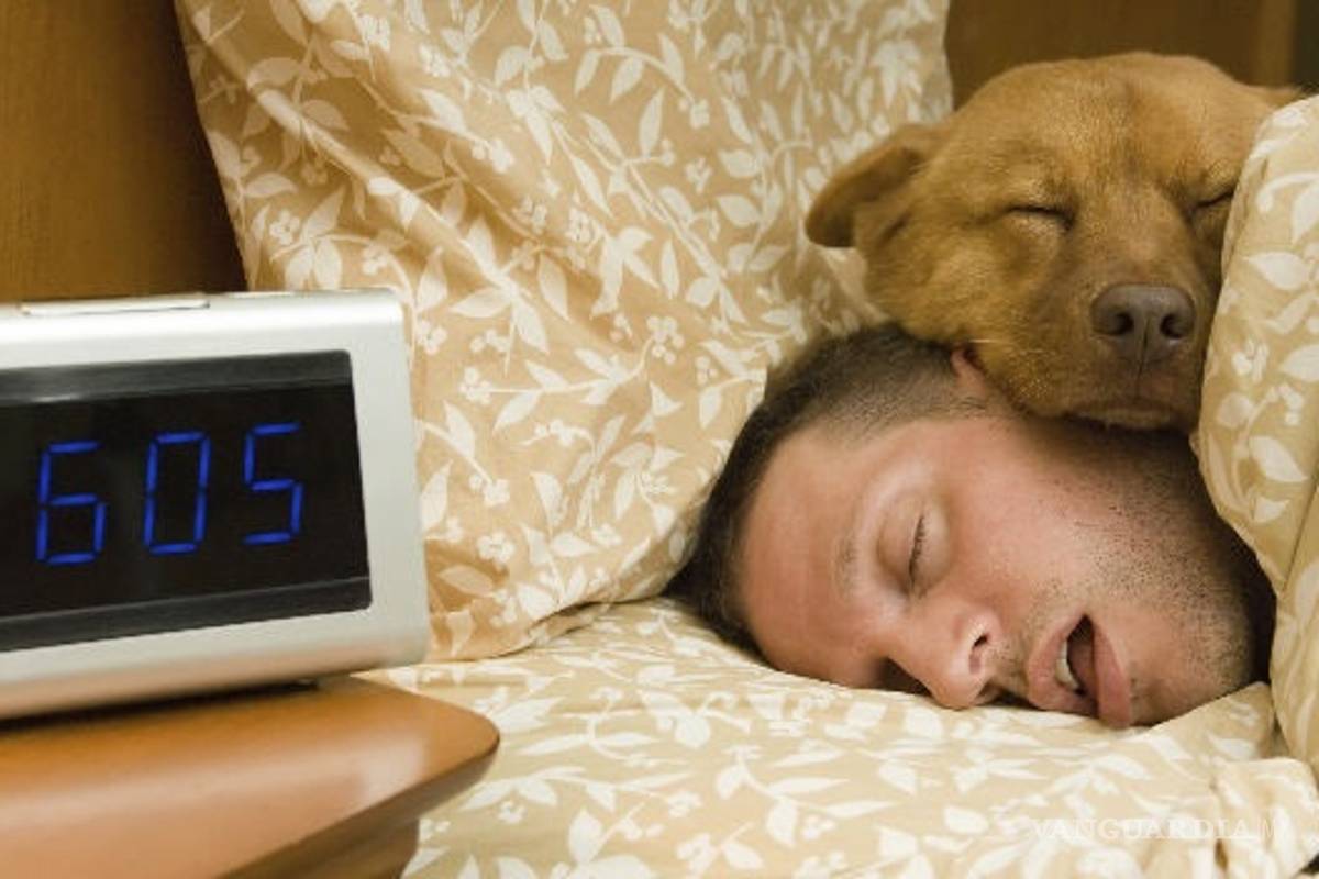 Kaizen, una técnica japonesa para combatir la flojera del lunes