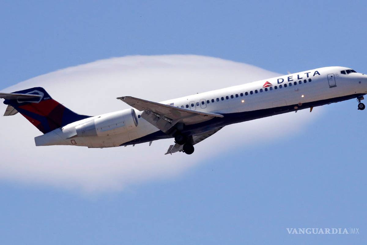 Delta se une a startup para transporte seguro de mascotas