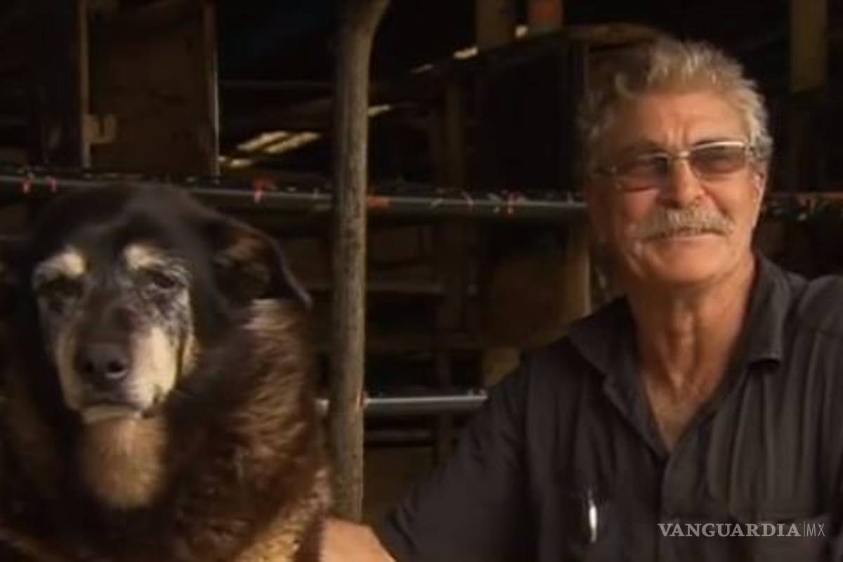 El perro más viejo del mundo muere a sus 30 años