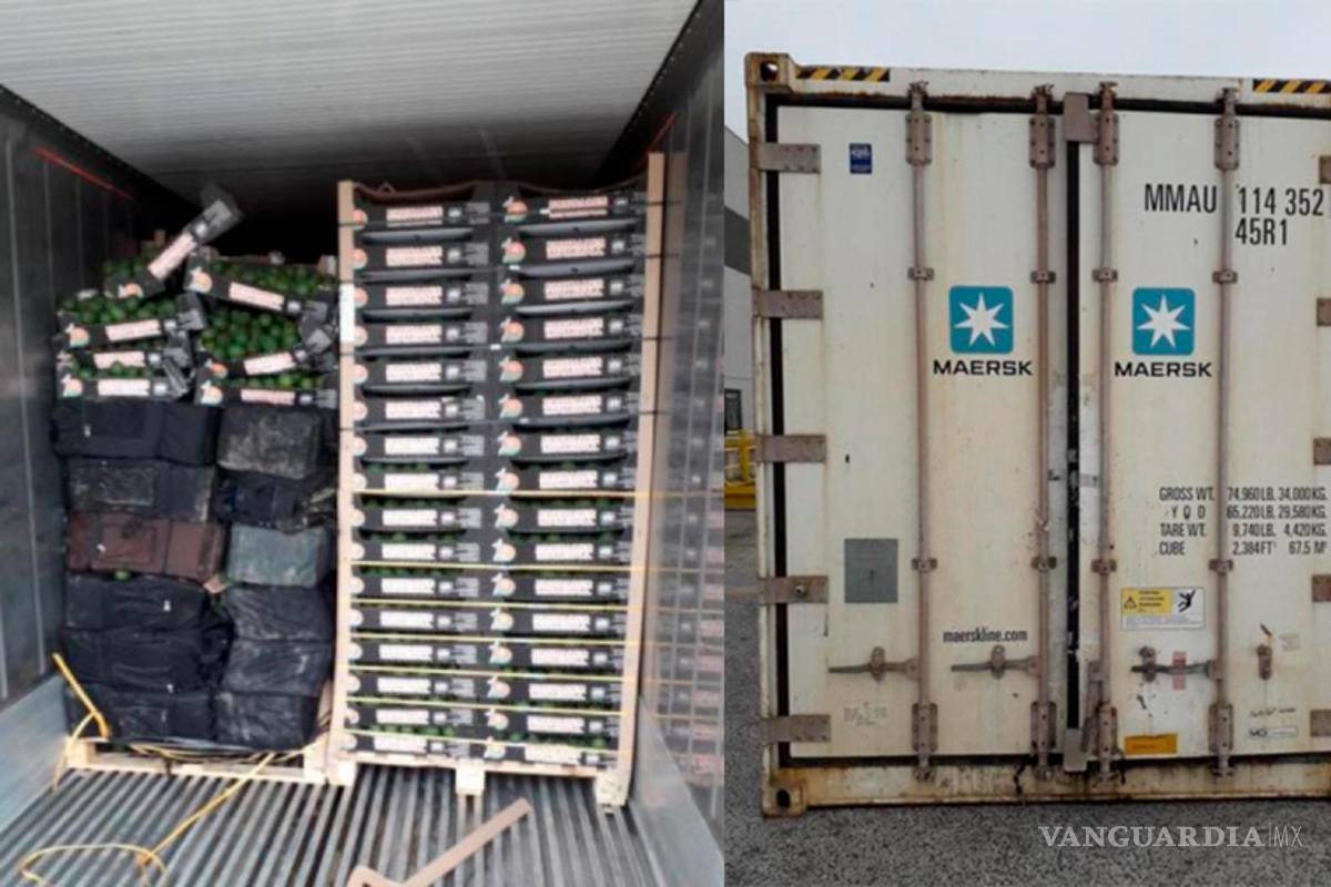 Decomisan cargamento de cocaína oculto entre aguacates