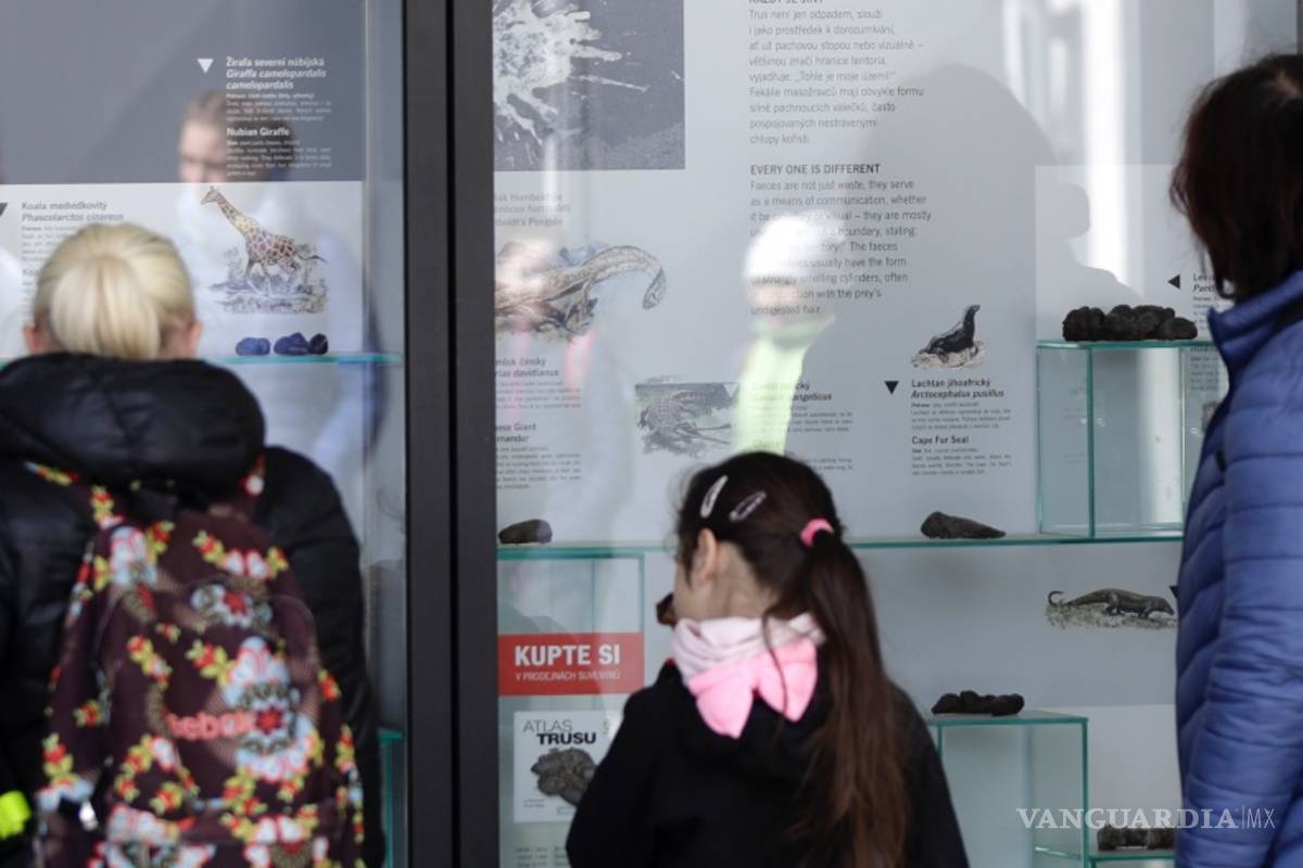 Un zoológico en Praga inaugura una exposición sobre el excremento animal