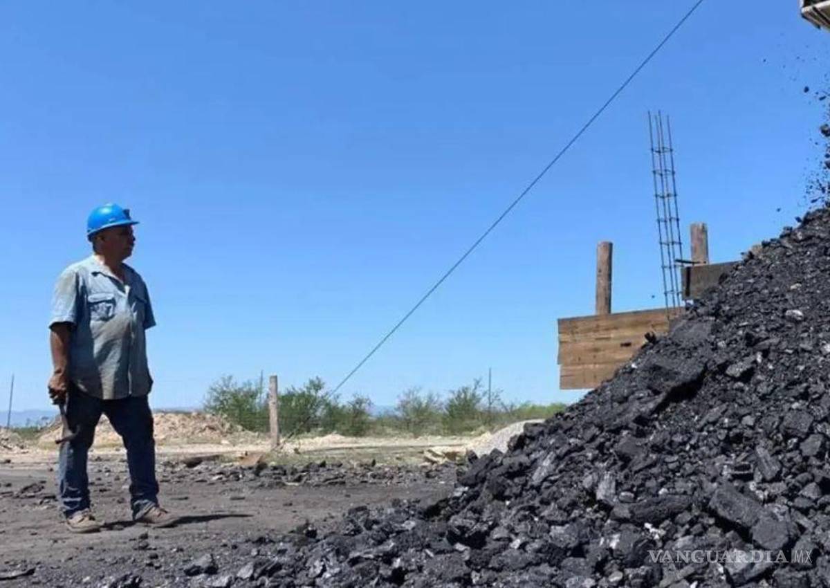 Coahuila: excluye CFE al diputado Tony Flores de adjudicación de contratos de carbón