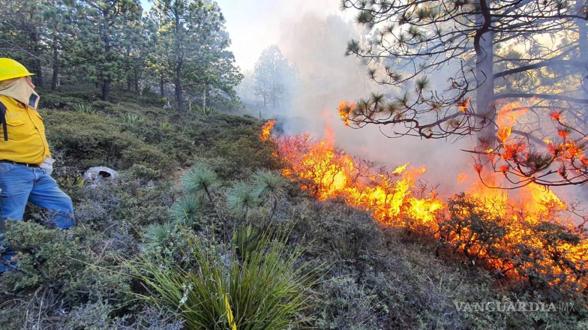 Incendio forestal en Galeana, NL, consume 10 hectáreas de matorral