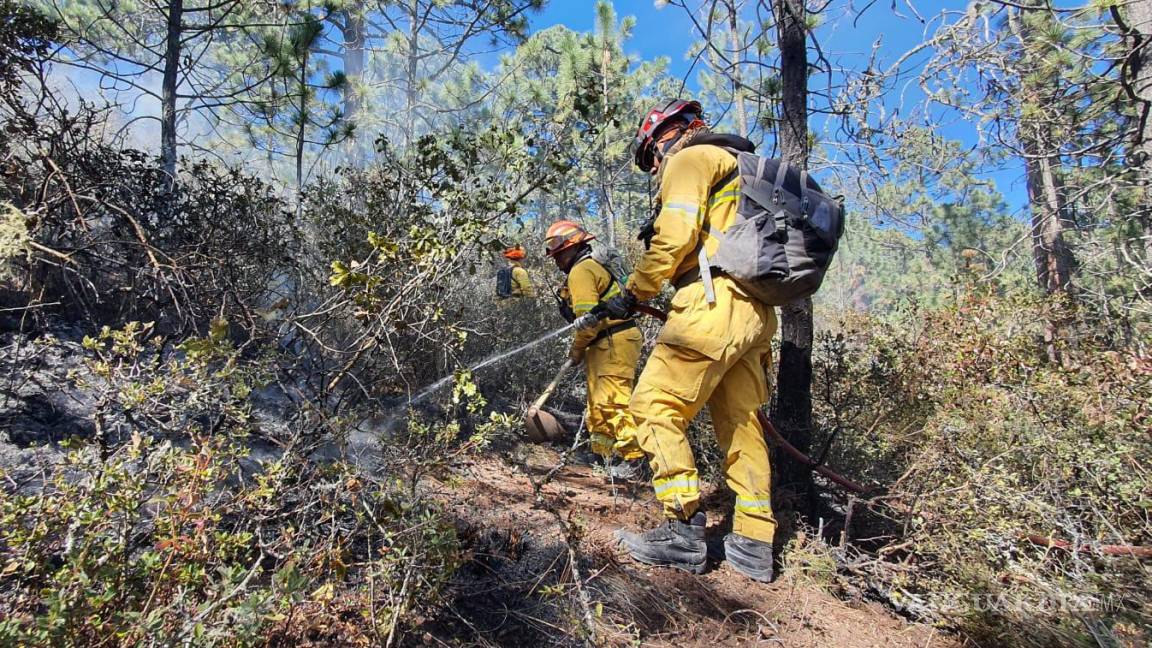 Controlan al 90 por ciento incendio en Galeana, Nuevo León