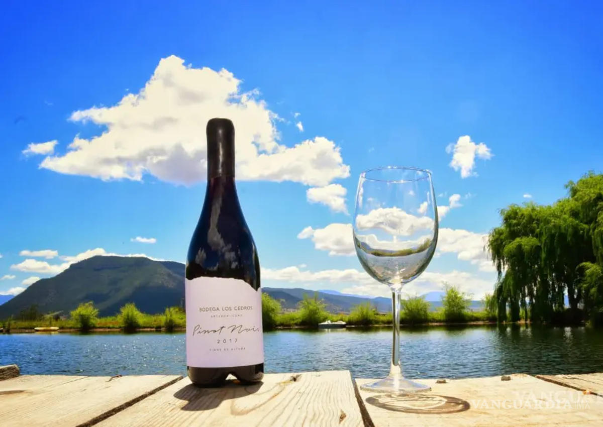 Coahuila cierra vacaciones de verano con una derrama de mil 432 mdp