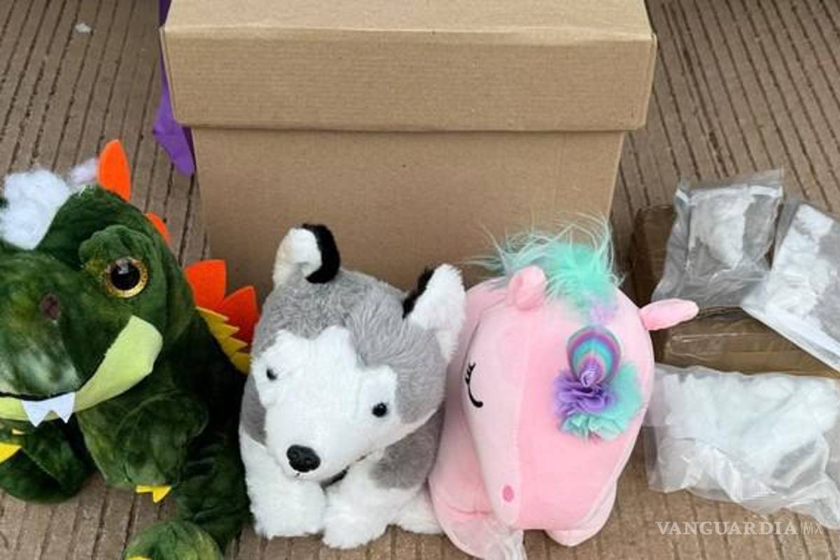 Encuentra Guardia Nacional cocaína y cristal en un peluche