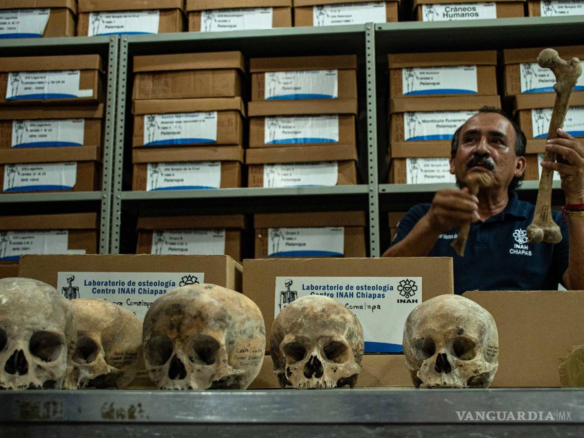 $!Javier Montes de Paz, investigador del Centro del Instituto Nacional de Antropología e Historia (INAH) en Chiapas.