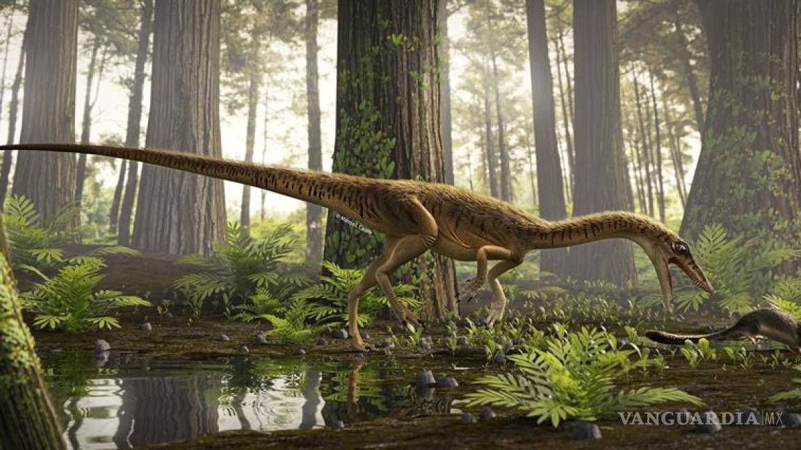 Erythrovenator jacuiensis, uno de los antepasados más antiguos del Tyrannosaurus Rex