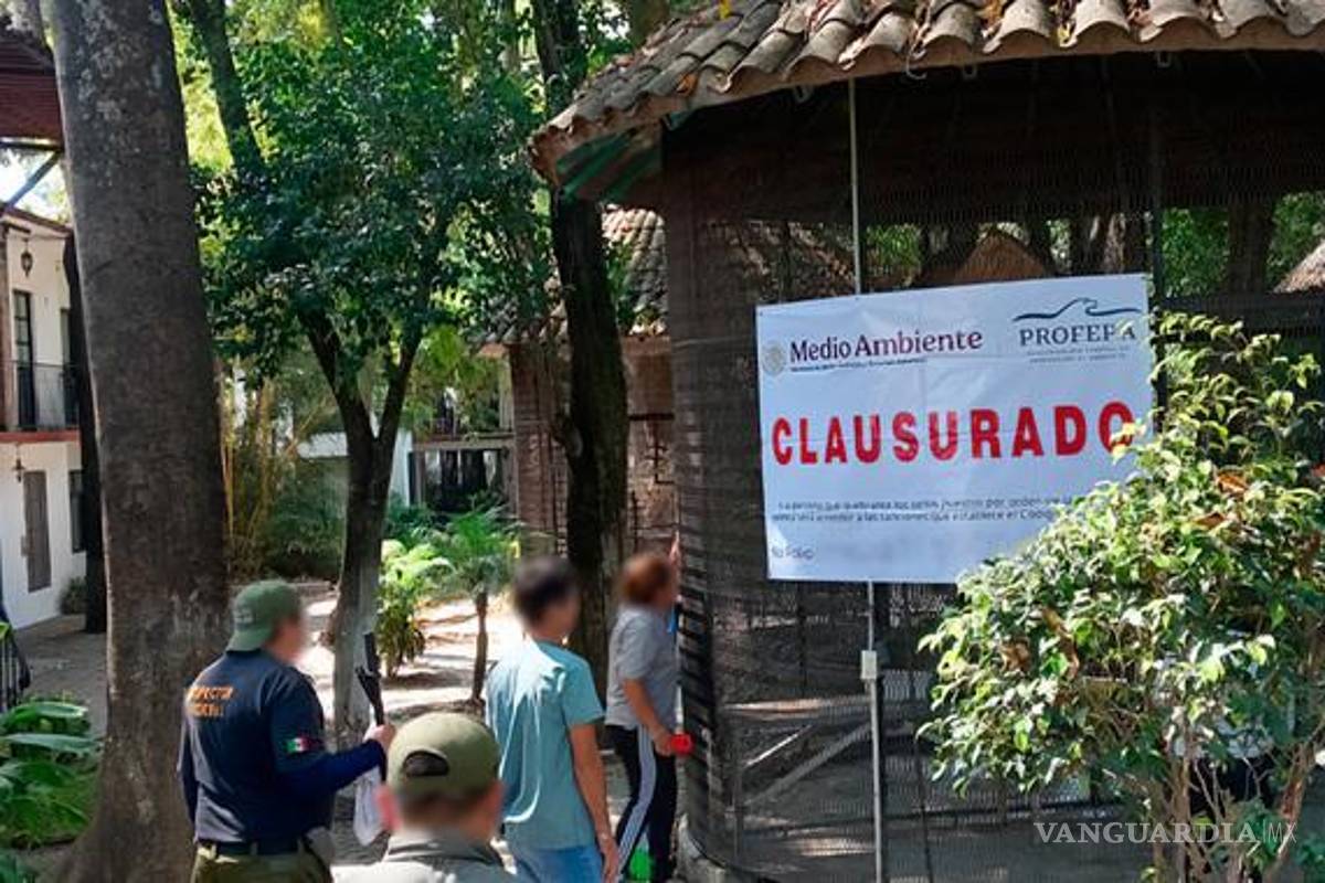 Profepa asegura 41 animales del ‘Parque Temazcal Zovic’ de Morelos; tenían estrés y bajo peso