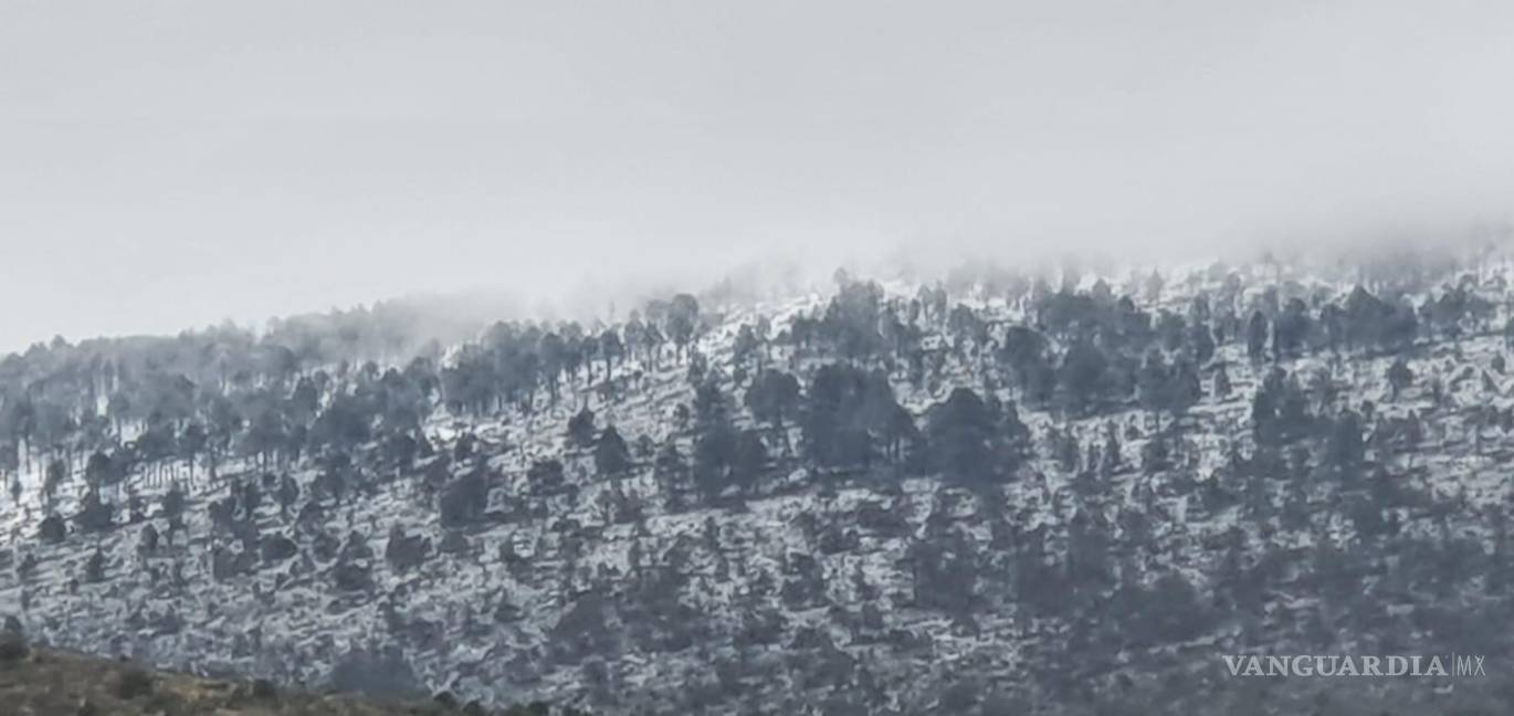 Sur de Nuevo León se pinta de blanco; reportan caída de nieve y aguanieve