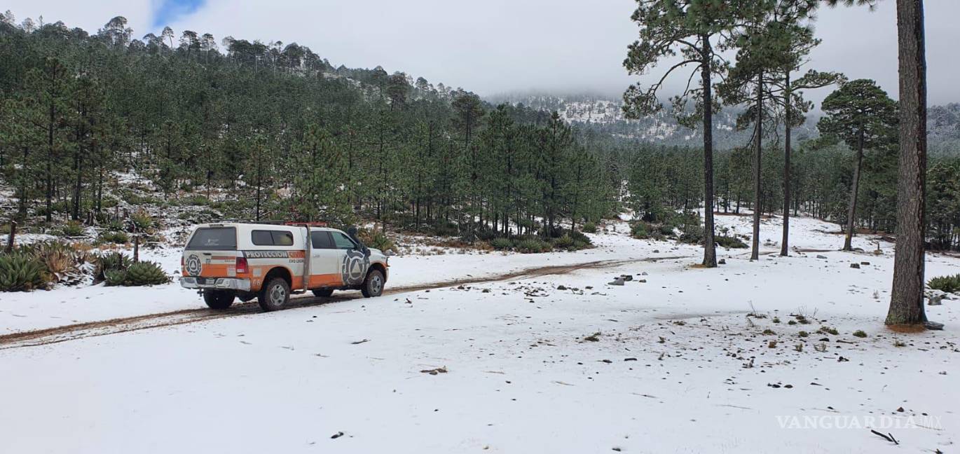 Sur de Nuevo León se pinta de blanco; reportan caída de nieve y aguanieve