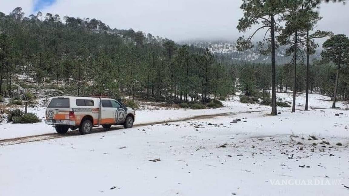 Reportan nieve en zonas altas de la sierra de Arteaga