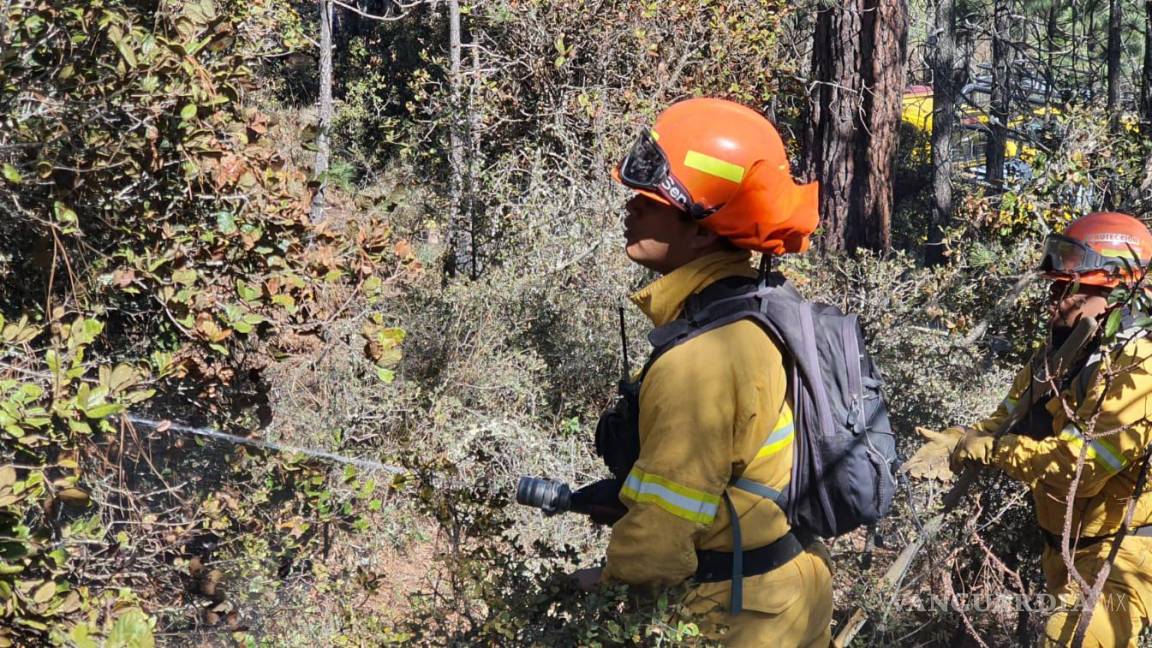 Controlan al 90 por ciento incendio en Galeana, Nuevo León