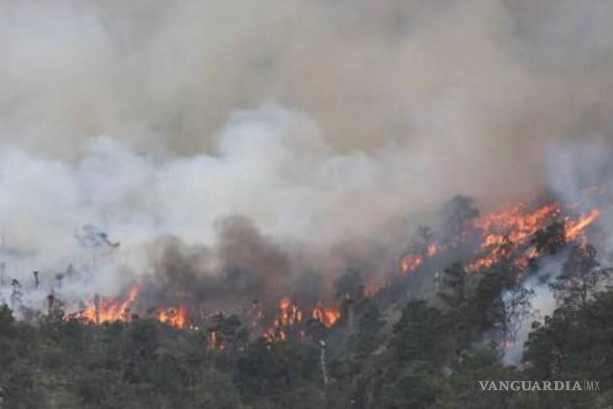 Es Coahuila el estado con menos incendios forestales