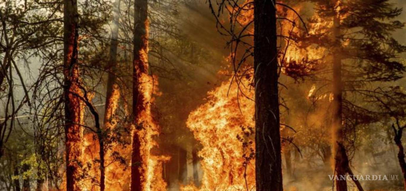 $!Incendio forestal en California, Estados Unidos. AP